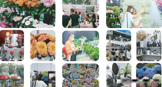 多圖.jpg 多圖.jpg