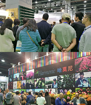 花卉�?.png 花卉�?.png